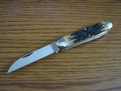 rat 002.JPG