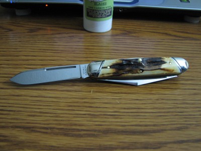 gec moose 012.JPG