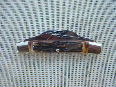 2008_0219buck0002.JPG