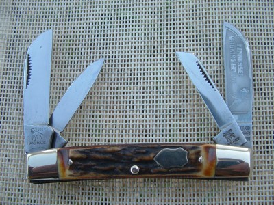 2008_0219buck0013.JPG