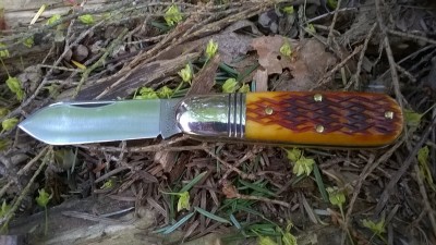 WP_20180427_024.jpg
