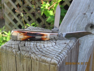 5299 Stag & 6375 Bone Case Knives 004.JPG