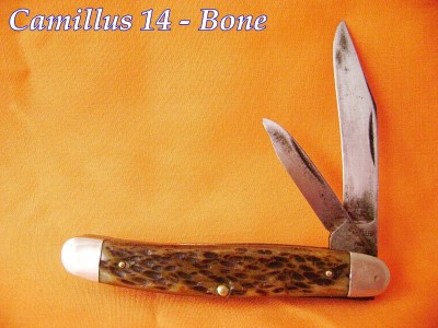 Camillus 14 - Bone - Labeled.JPG
