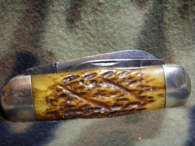 DSCN7981.JPG