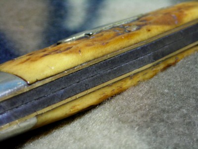 DSCN7988.JPG