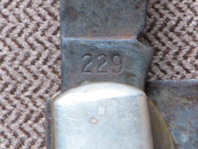 008.JPG