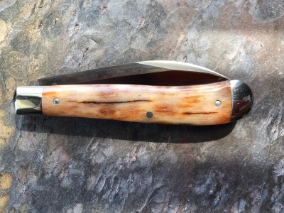 Giraffe Bone Hawthorne.jpg