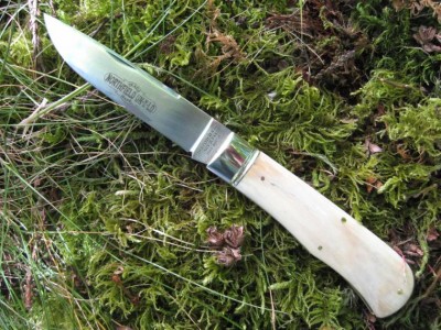 resized 23 ivory.jpg