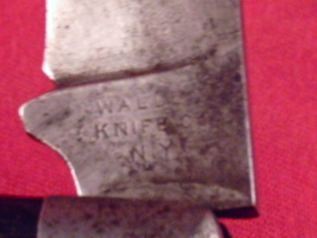 walden hawkbill (1).jpg
