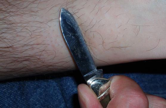 Butterbean edge test.JPG
