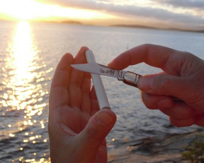 sharpaug10 sunset.jpg