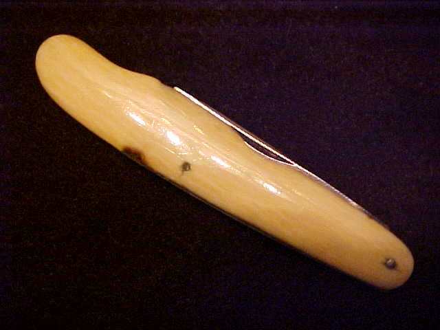 Ivory11.JPG