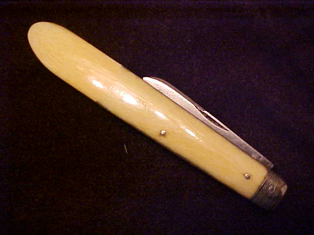 Ivory12.JPG