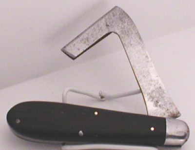 cam rase 1.JPG