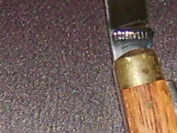 S6003004.JPG