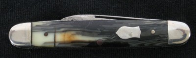 cell 1.jpg