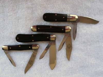 Great Eastern Ebony B.JPG