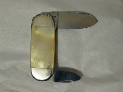 Bulldog Sunfish (back)