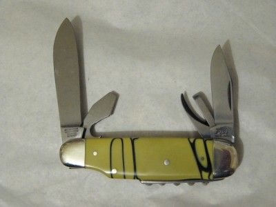 Bulldog Scout (back)