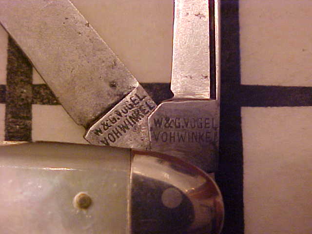 WandGVogel12.JPG