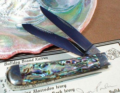 3abalone1.jpg