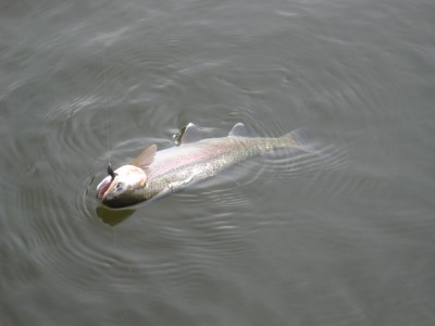 IMG_4144.JPG