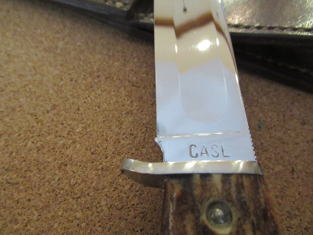 Case XX Stag Handle Fixed Blade Pattern 53255