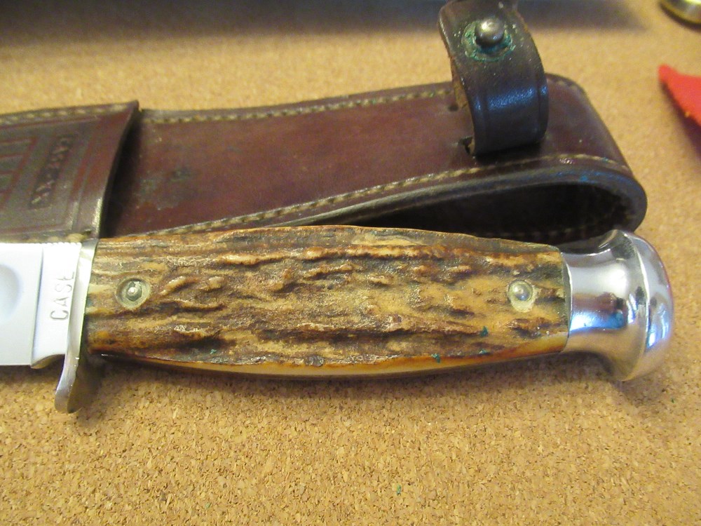Case XX Stag Handle Fixed Blade Pattern 53255