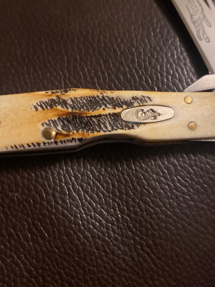 New Case XX 6.511 1/2L SS BoneStag Cheetah Cub With Nickel