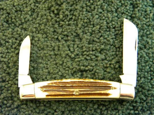 Queen #31 Large Congress Winterbottom Bone Big Queen #31 Large Congress Winterbottom Bone Big
