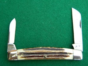 Queen # 37 Winterbottom Bone Large Half Congress Big 