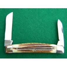 Queen # 37 Winterbottom Bone Large Half Congress Big Queen # 37 Winterbottom Bone Large Half Congress Big