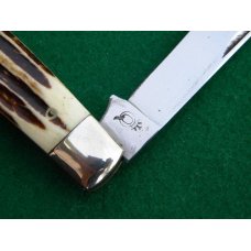 Queen # 37 Winterbottom Bone Large Half Congress Big Queen # 37 Winterbottom Bone Large Half Congress Big