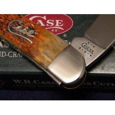 Case XX USA 2002 Autumn Bone 6355WH SS Wharncliffe Seahorse Whittler Knife - NIB Case XX USA 2002 Autumn Bone 6355WH SS Wharncliffe Seahorse Whittler Knife - NIB