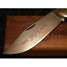 Case Classic 1993 Buffalo Horn BH1072 Bulldog Clasp Knife - NIB Case Classic 1993 Buffalo Horn BH1072 Bulldog Clasp Knife - NIB