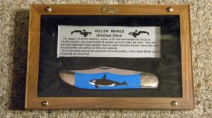 Case XX USA (1995) 6165 SS Turquoise 