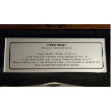 Case XX USA (1992) 6165 SS Bone Case XX USA (1992) 6165 SS Bone