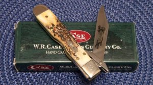 Case XX USA 2006 Stag 511 1/2L SS Cheetah Cub Knife - NIB