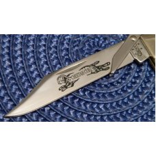 Case XX USA 2006 Stag 511 1/2L SS Cheetah Cub Knife - NIB Case XX USA 2006 Stag 511 1/2L SS Cheetah Cub Knife - NIB