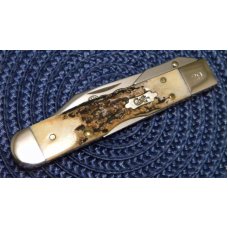 Case XX USA 2006 Stag 511 1/2L SS Cheetah Cub Knife - NIB Case XX USA 2006 Stag 511 1/2L SS Cheetah Cub Knife - NIB