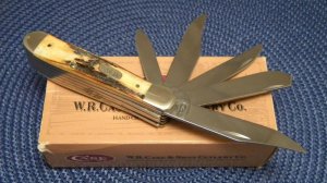 Case XX USA 2 Dot (1998) Stag 5549 SS 5 Blade Copperhead Knife - NIB