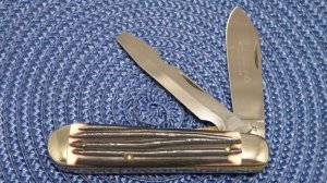Queen Steel #40 Imitation Winterbottom Bone 
