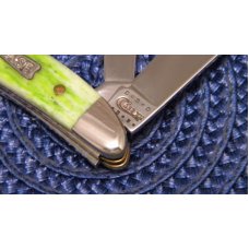 Case XX USA 2010 Lime Green Bone 6220 SS Peanut Knife - NIB Case XX USA 2010 Lime Green Bone 6220 SS Peanut Knife - NIB
