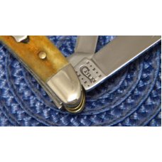Case XX USA 2010 Antique Bone 6220 SS Peanut Knife - NIB Case XX USA 2010 Antique Bone 6220 SS Peanut Knife - NIB