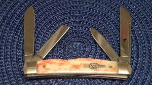 Case XX USA 2007 Appaloosa Bone 64052 SS Congress Knife