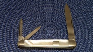Wester Bros Germany Warranted Pearl Whittler Knife c.1904-1967
