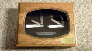Case XX SS USA 8 Dot 1982 Pearl Knife Set 8249 Copperhead 8254 Trapper 8207 Mini Trapper