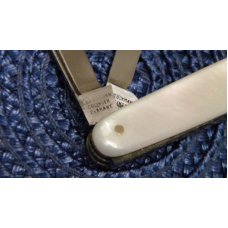 E Bruckmann Solingen Germany Pearl 4 Blade Fob Knife - C. 1891-1956 E Bruckmann Solingen Germany Pearl 4 Blade Fob Knife - C. 1891-1956
