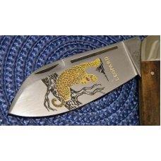 Bulldog Brand Solingen Germany 1995 Bone Elephant Toe Knife Bulldog Brand Solingen Germany 1995 Bone Elephant Toe Knife