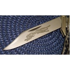Case XX USA 2002 Old Black Bone 6111 1/2 SS Cheetah Knife - NIB Case XX USA 2002 Old Black Bone 6111 1/2 SS Cheetah Knife - NIB